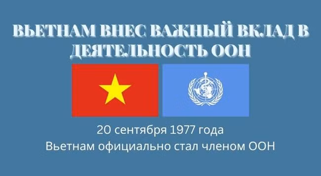 Вьетнам внес важный вклад в деятельность ООН