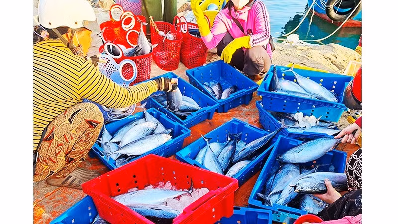 Рынок свежих морепродуктов на острове.