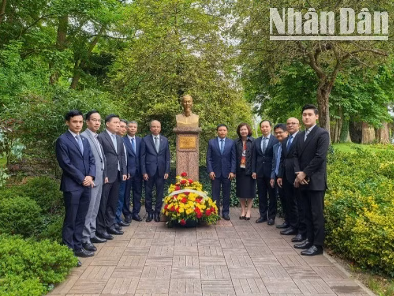 anh-04-6776.jpg
