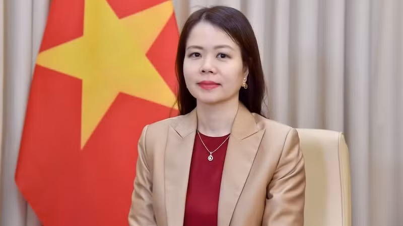 Заместитель министра иностранных дел Нгуен Минь Ханг.