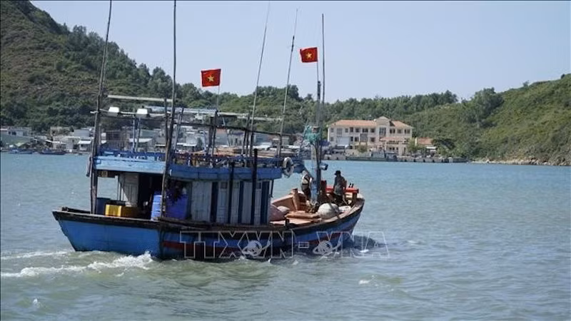 Рыболовное судно рыбаков провинции Зялай выходит в море. Фото: ВИА