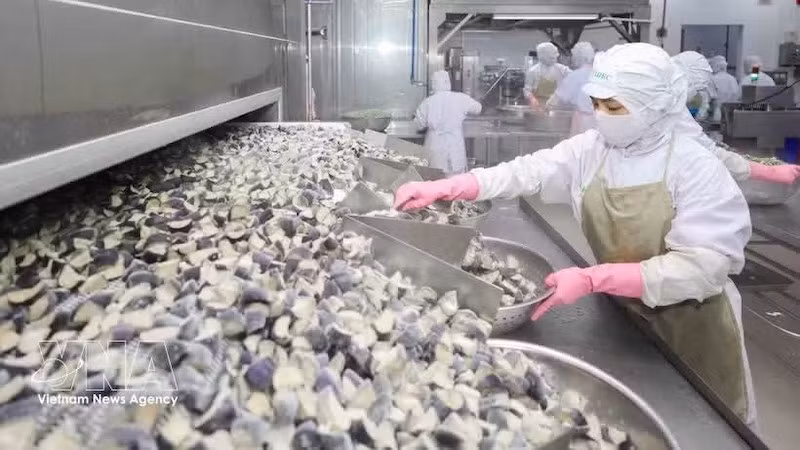 Работники перерабатывают сельскохозяйственную продукцию на предприятии Coastal Fisheries Development Company (Cofidec) в городе Хошимине. Фото: ВИА