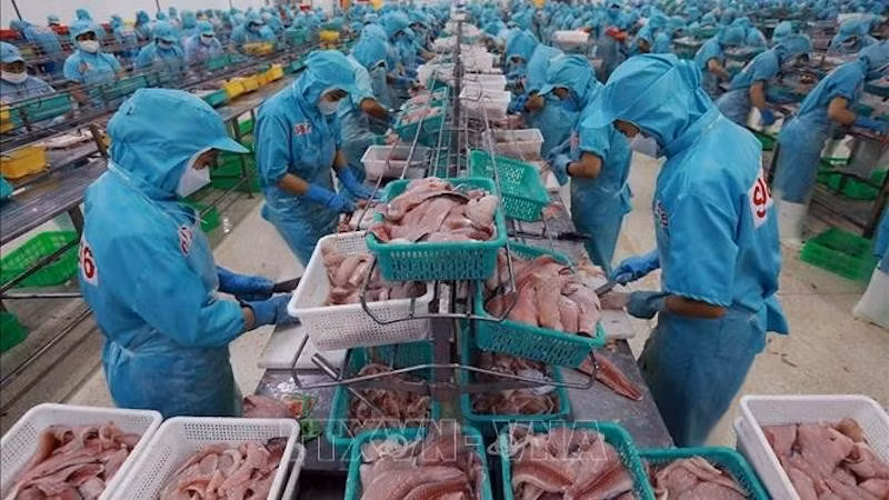 Морепродукты являются одним из ключевых товаров Вьетнама, экспортируемых в Бразилию. Фото: ВИА