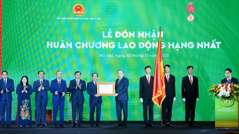 image-1.jpg