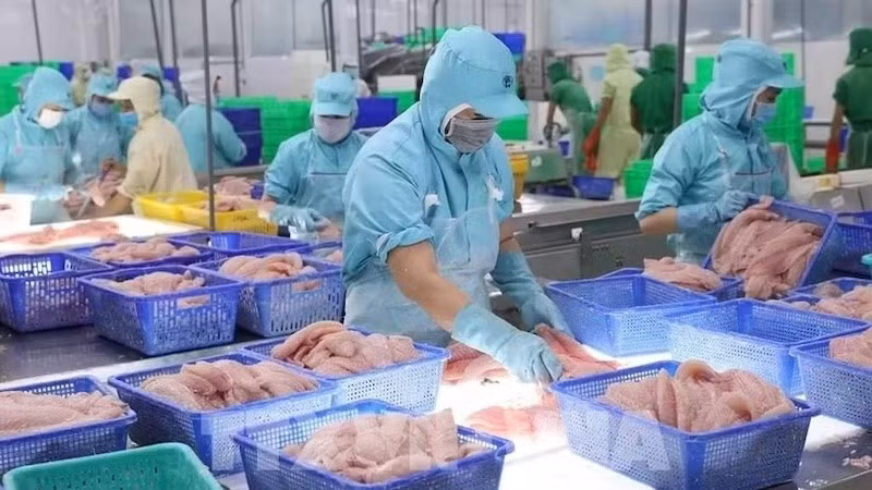 Вьетнам в значительной степени зависит от международной торговли, при этом экспорт составляет 90% ВВП страны. Фото: ВИА