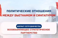 [Инфографика] Политические отношения между Вьетнамом и Сингапуром