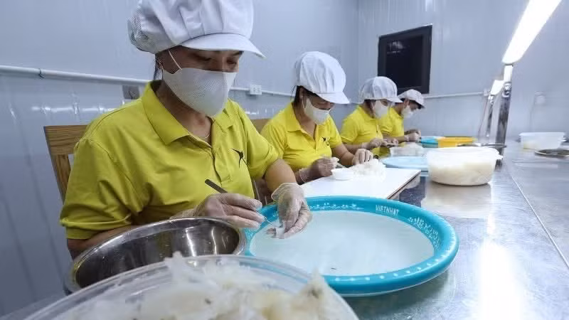 Предварительная обработка продукции из птичьих гнезд на ООО по производству и торговле ласточкиными гнездами «Сытхань» (община Ванлок, провинция Тханьхоа). (Фото: ВИА)