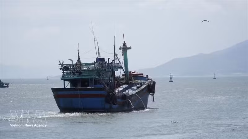 Рыболовное судно выходит в море. (Фото: ВИА)