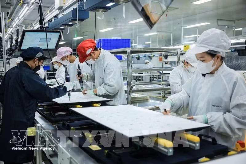 Производственная деятельность компании с ограниченной ответственностью Regza Vietnam Electronics, расположенной на территории провинции Донгнай. (Фото: ВИА)