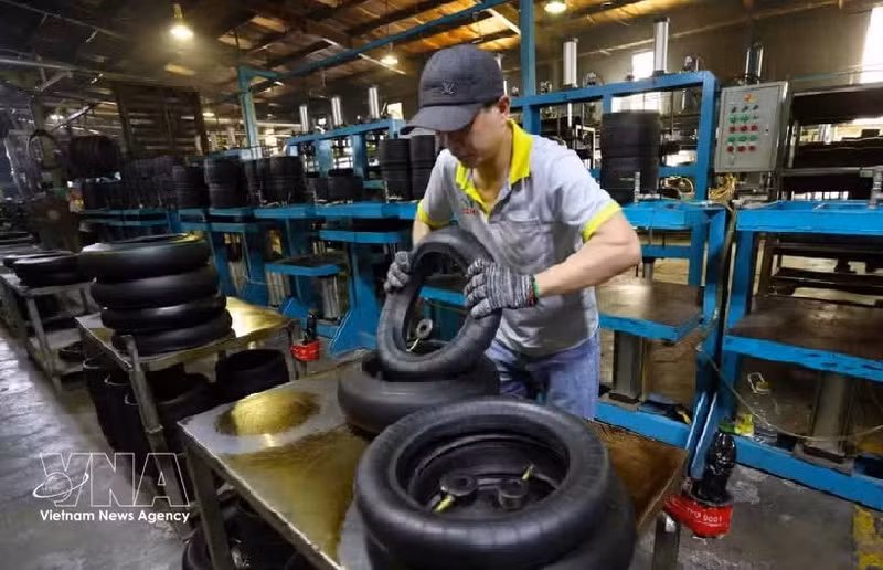 Производство мотоциклетных шин на заводе компании Camel Vietnam Rubber Co., Ltd., полностью принадлежащей таиландскому капиталу, в экономической зоне международного пограничного пункта Лаобао провинции Куангчи. (Фото: ВИА)