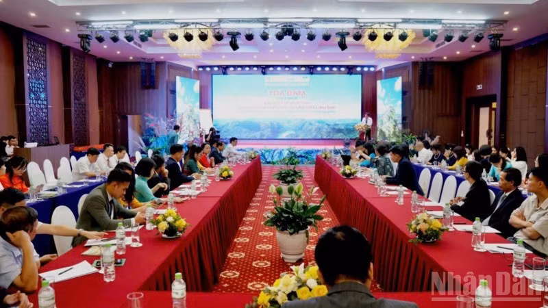 anh-13.jpg