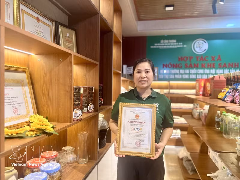 Кофе «Khe Sanh 100% Arabica», производимый сельскохозяйственным кооперативом Кхешан, получил национальный сертификат OCOP категории «5 звёзд», что способствует повышению престижа и укреплению бренда кофе Кхешань. (Фото: ВИА)