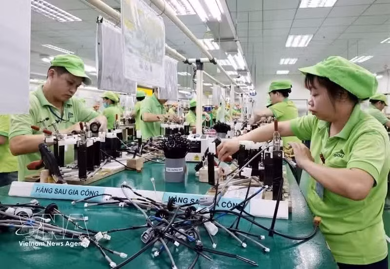 Компания Bandai Vietnam Co., Ltd., предприятие с прямыми иностранными инвестициями, обеспечивает стабильную занятость почти 1 000 работников. (Фото: ВИА)