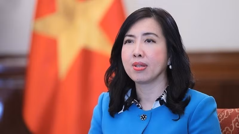 Заместитель министра иностранных дел Вьетнама Ле Тхи Тху Ханг. (Фото: ВИА)