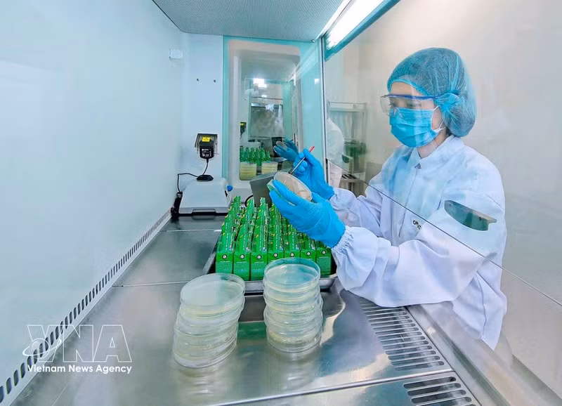 На заводе Nestlé Bông Sen в провинции Хынгйен применяются цифровые технологии в зеленом производстве. (Фото: ВИА)