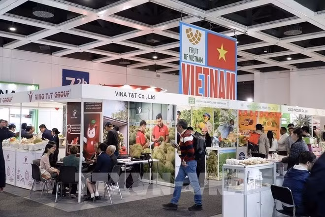 Экспозиция Вьетнама на выставке Fruit Logistica 2026. (Фото: ВИА)