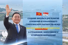 Создание импульса для развития всеобъемлющего стратегического партнерства между Вьетнамом и Сингапуром в углубленном, эффективном и устойчивом направлении