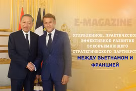 Углубленное, практическое и эффективное развитие всеобъемлющего стратегического партнерства между Вьетнамом и Францией