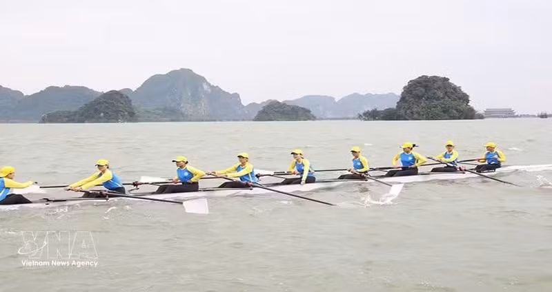 Спортсмены принимают участие в Чемпионате Вьетнама по гребле (Rowing), каноэ (Canoeing) и гребному тренажёру 2025 года в провинции Ниньбинь. Фото: ВИА