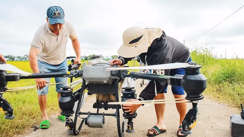 Применение беспилотников в сельскохозяйственном производстве позволяет снизить трудозатраты фермеров общины Иахиао. Фото: Ву Тьи