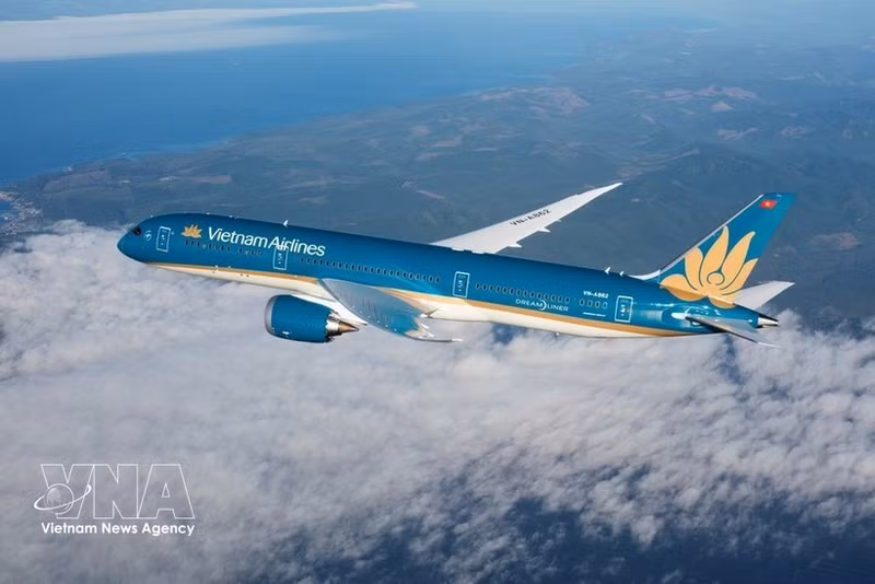 Самолёт авиакомпании Vietnam Airlines, выполняющий рейс в Европу. Иллюстративное фото: ВИА