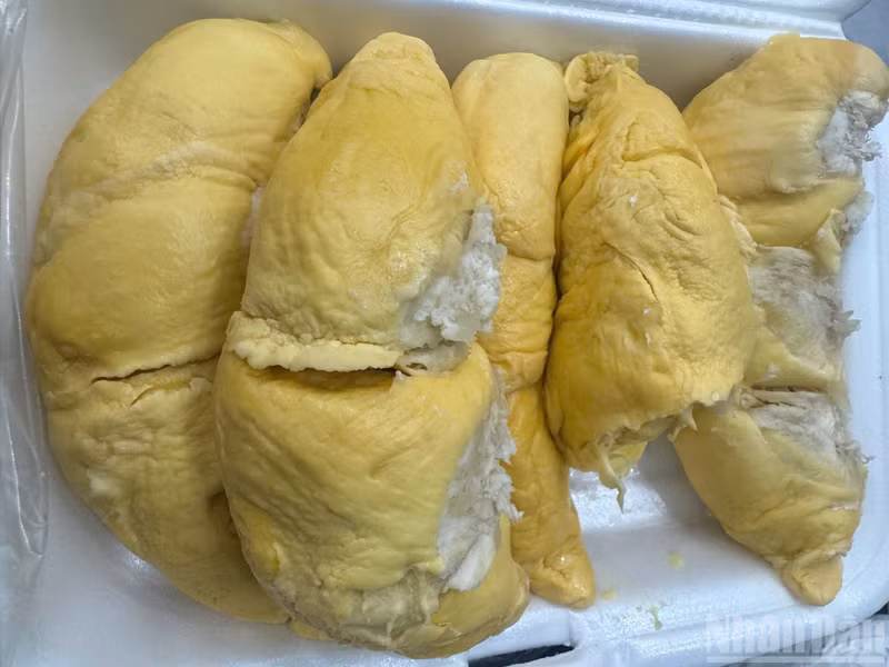 Благодаря своему насыщенному аромату и отличному вкусу дуриан из Донгная пользуется большой популярностью на рынке.