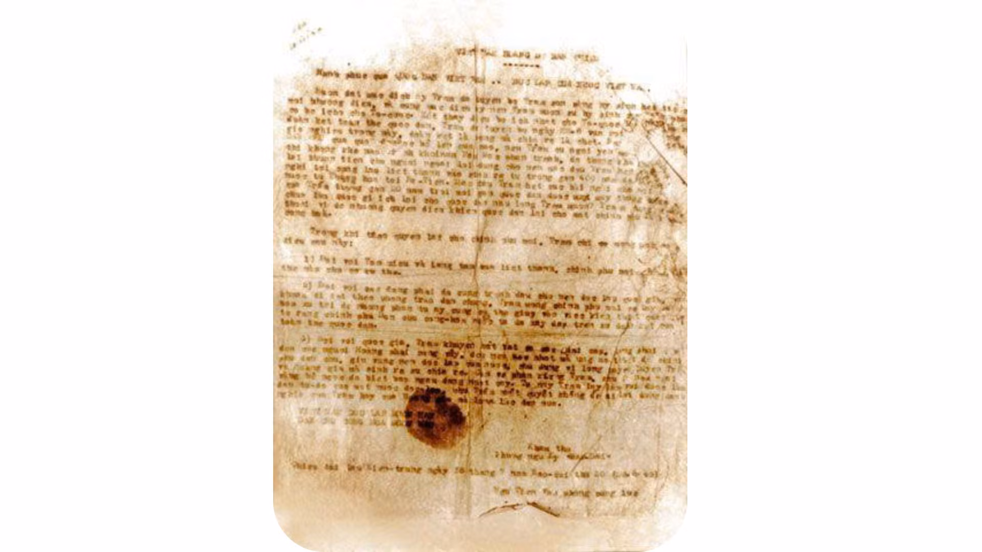 image-6.jpg