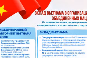 От активного члена до инициативного, созидательного и ответственного партнёра