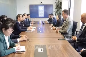 Председатель Нгуен Мань Хунг и делегация Народного комитета города Дананг провели рабочую встречу с руководителями ПРООН в Нью-Йорке. Фото: ВИА