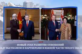Новый этап развития отношений между Вьетнамом и партнерами в южной части Тихого океана