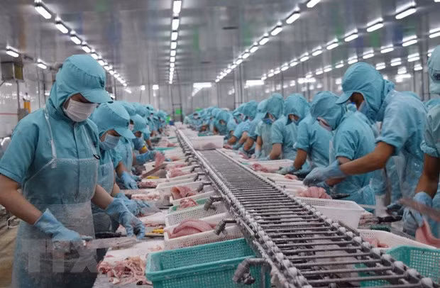 Производственный процесс на предприятии по переработке морепродуктов в провинции Донгтхап. Фото: ВИА Производственный процесс на предприятии по переработке морепродуктов в провинции Донгтхап. Фото: ВИА