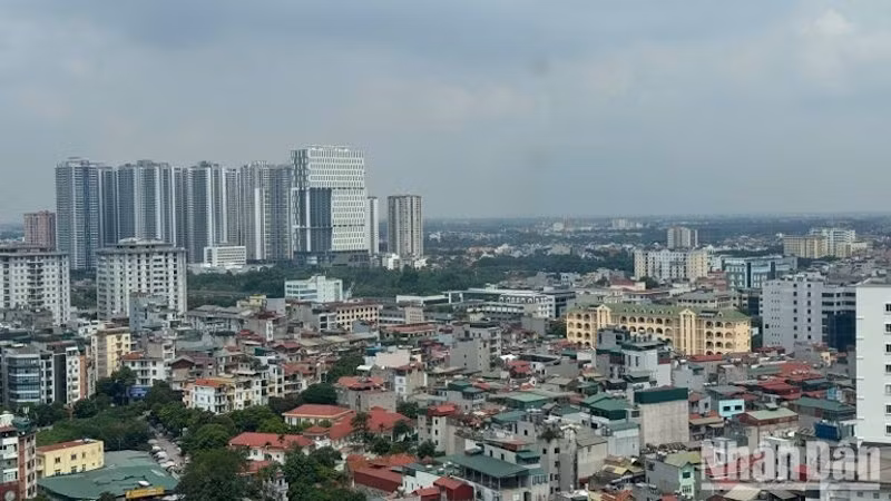 image-1.jpg