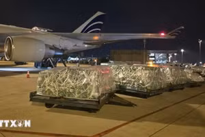 Партии товаров разгружаются в аэропорту. Фото: ВИА