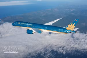 Самолёт авиакомпании Vietnam Airlines, выполняющий рейс в Европу. Иллюстративное фото: ВИА
