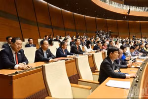 Депутаты НС проводят голосование на утреннем заседании 7 апреля. Фото: Зюи Линь