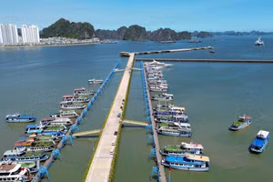 Туристические суда, пришвартованные в Международном пассажирском порту Халонг (Куангнинь). Фото: ВИА