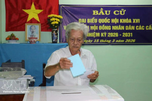 Жители общины Танфудонг провинции Донгтхап досрочно голосуют на избирательных участках. Фото: ВИА