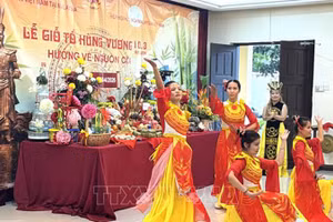 Художественный номер общества вьетнамцев в Малайзии. Фото: ВИА 