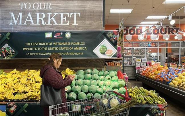 Вьетнамские помело продаются в американском супермаркете. Фото: ВИА
