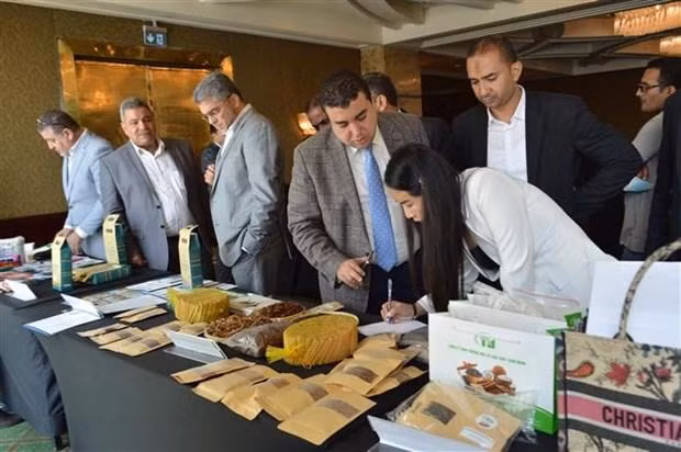 Многие египетские предприятия заинтересованы во вьетнамских сельскохозяйственных продуктах. Фото: VNA