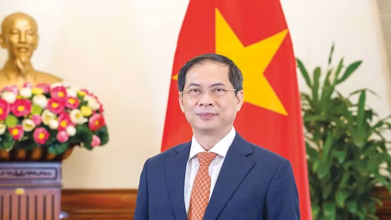 Министр иностранных дел Буй Тхань Шон. Фото: baoquocte.vn