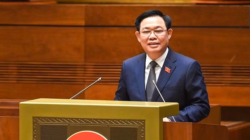 Председатель НС Выонг Динь Хюэ выступает на конференции. Фото: Зюи Линь