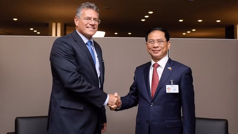 Министр Буй Тхань Шон и Зампредседателя Европейской комиссии, европейский комиссар по межинституциональным вопросам Марош Шефчович. Фото: baoquocte.vn