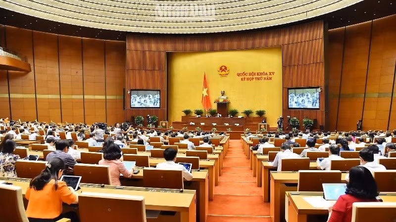 Общий вид заседания 30 мая. Фото: Тхюи Нгуен