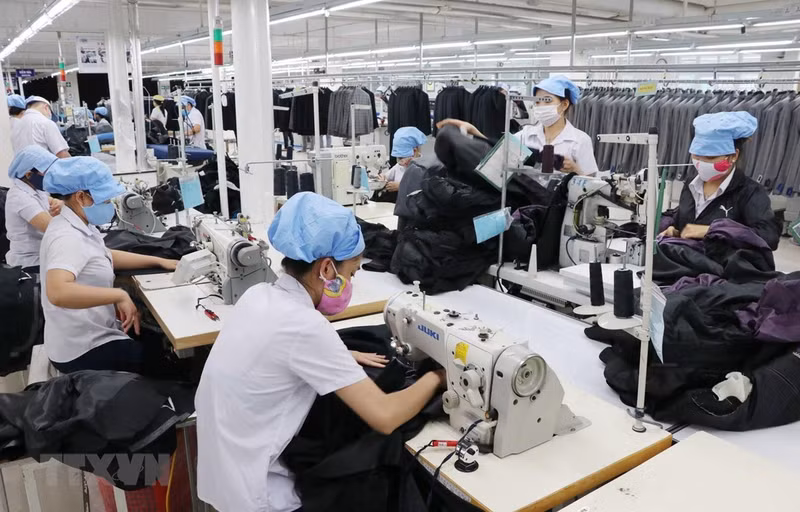 Вьетнам стремится стать производительным заводом мира, поэтому его продукция должна соответствовать стандартам FDA, HACCP, ISO и др. Фото: ВИА