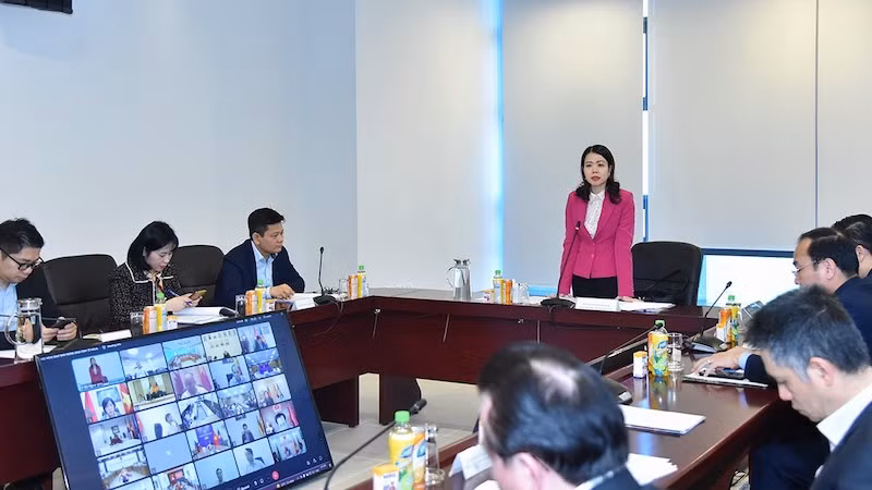 Замминистра иностранных дел Нгуен Минь Ханг выступает на конференции. Фото: baoquocte.vn