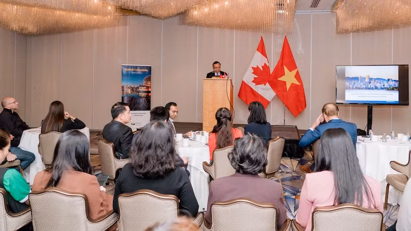 Общий вид семинара. Фото: ВИА