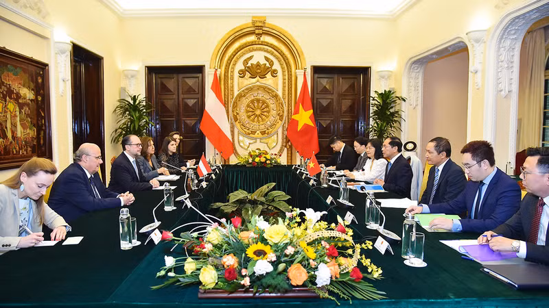 Общий вид переговоров. Фото: МИД Вьетнама Общий вид переговоров. Фото: МИД Вьетнама