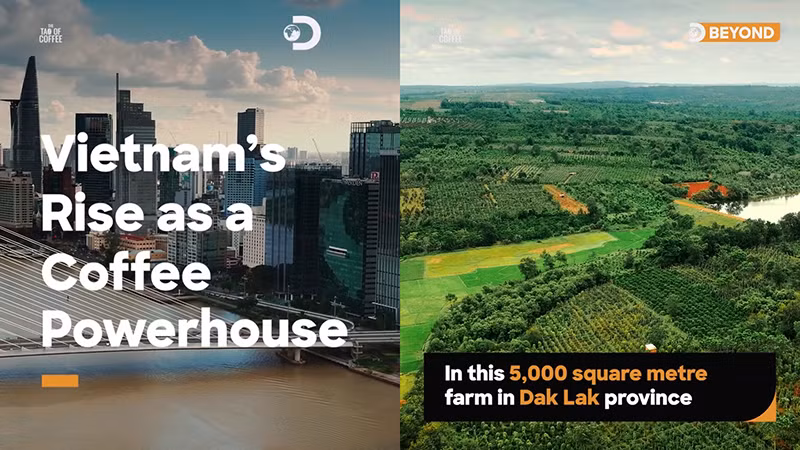 Впервые документальный фильм о стремлениях и усилиях вьетнамской кофейной индустрии показан по всему миру.