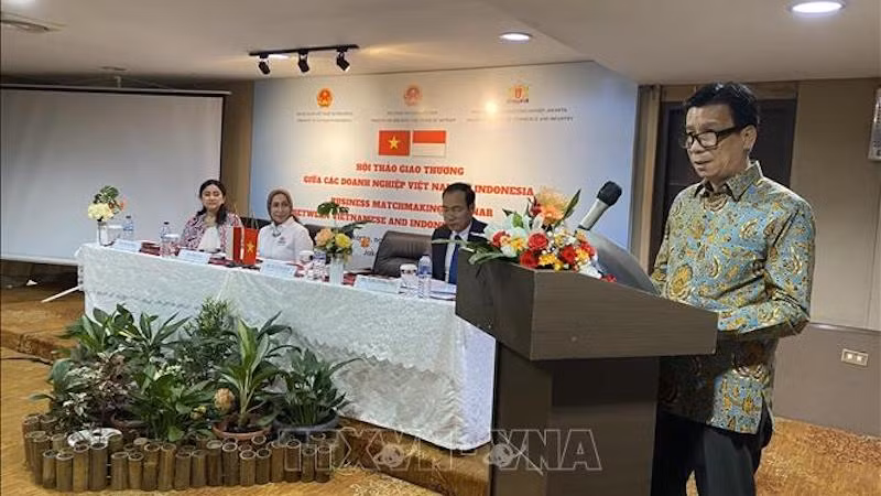 Посол Вьетнама в Индонезии Та Ван Тхонг выступает на семинаре. Фото: ВИА